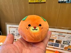 -日本大使馆-新闻文化中心