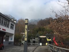 -王顺山国家森林公园