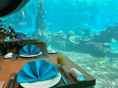 -涛·海底餐厅·美人鱼·自助餐·海底隧道(三亚海棠湾洲际度假酒店)