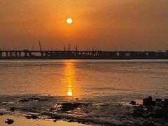 -宝安西湾红树林湿地公园