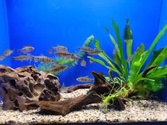 -上海海洋水族馆