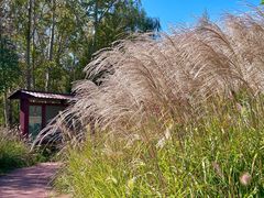-野鸭湖国家湿地公园