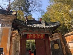 -天台山景区