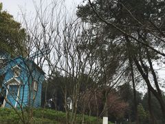 -铁山坪森林公园