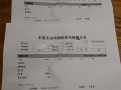 -瑞派名望志远动物医院·猫科·內科·异宠专科(直港大道店)