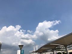 -吉英盐焗鸡(文中路店)