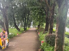 -星湖旅游景区七星岩