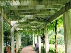 -汇龙潭