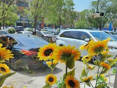 -巴盟人家·内蒙地方菜(华丽家族店)