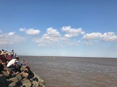 -南汇嘴观海公园