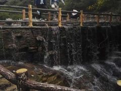 -王顺山国家森林公园