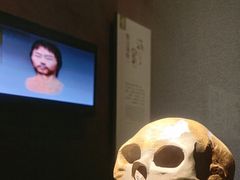 -上海崧泽遗址博物馆