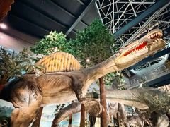 -湖南省地质博物馆