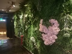 -绿茶餐厅(华联万柳店)