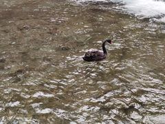 -水磨沟公园