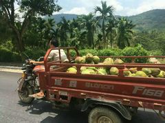 -东寨港红树林旅游区