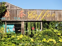 -怪坡茶馆