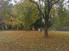 -同济大学(嘉定校区)