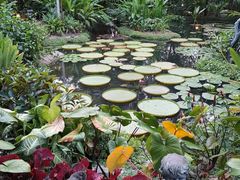 -植物园哈利亚餐厅