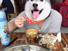 -柘林湖生态鱼馆