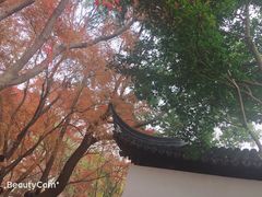 -秋霞圃