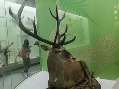 -国家自然博物馆