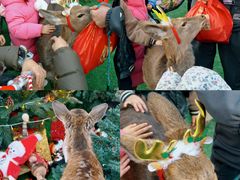 -国贸中心·国贸大厦三期