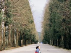 -山王坪喀斯特国家生态公园