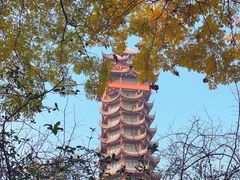-塔子山公园