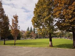 -云南师范大学(一二一西南联大校区)