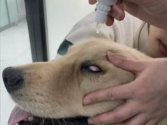 -嘉馨宠物医院·CT影像转诊·心脏科·犬猫全科诊疗中心(下沙大学城院区)