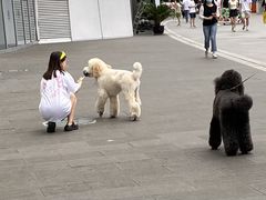 -金茂览秀城