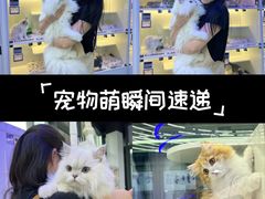 -小猫来了·猫舍(红山六九七九店)