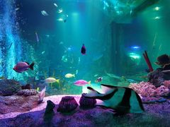 -沈阳海洋探索中心