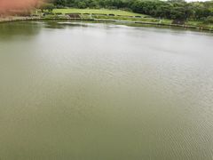 -东莞植物园