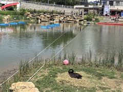 -大连理工大学(凌水校区)