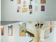 -Heymao猫咖.咖啡厅(东门店)