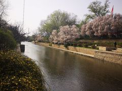 -元大都城垣遗址公园