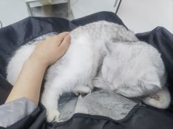 -熙.Hair 丨专注女子中长发丨