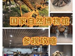 -国家自然博物馆