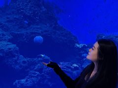 -华夏文旅西安度假区