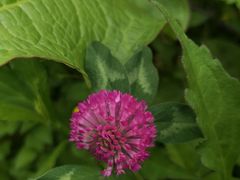 -硗碛藏寨·神木垒景区