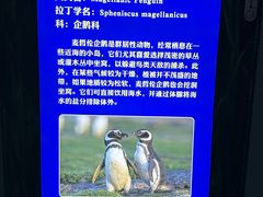 -福州罗源湾海洋世界旅游区