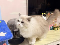 -鑫明明拉面(宁化路店)