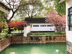 -上海共青森林公园