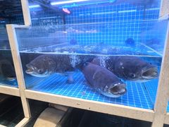 -聚丰园•湖鲜餐厅(阿红私房菜梅石路店)