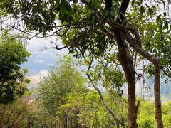 -梧桐山风景名胜区