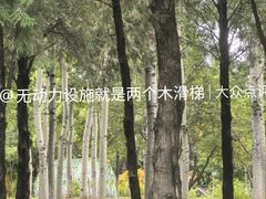 -青龙湖公园
