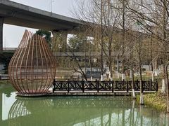 -洋湖国家湿地公园