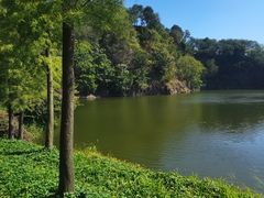 -王借岗森林公园